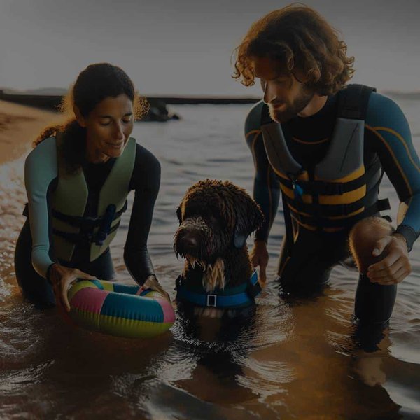 Comment habituer un chien d'eau Espagnol à se baigner en mer avec précautions?
